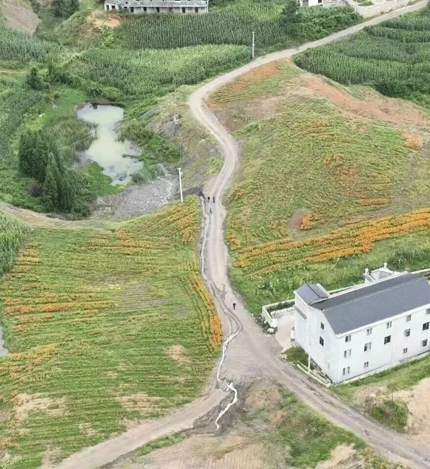 992fc2eff35608ae289db29601bdc9e1.jpg 南宫28官网