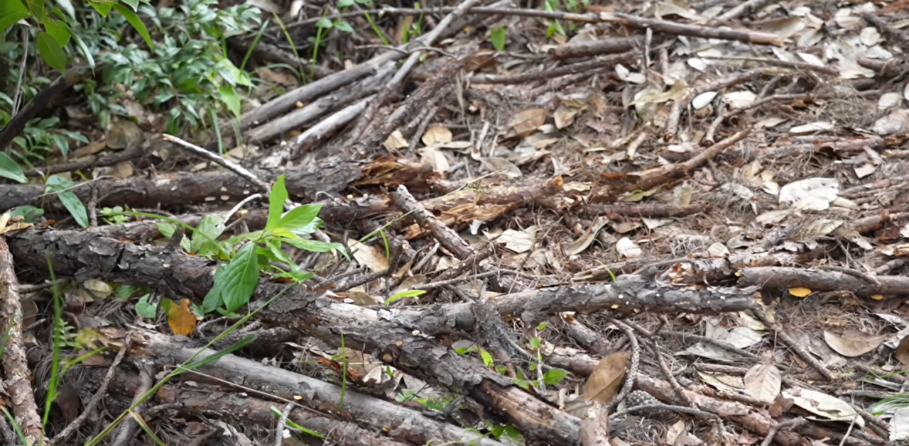 cbc276705aac0e24abcff5caaf8202aa.png 南宫28官网