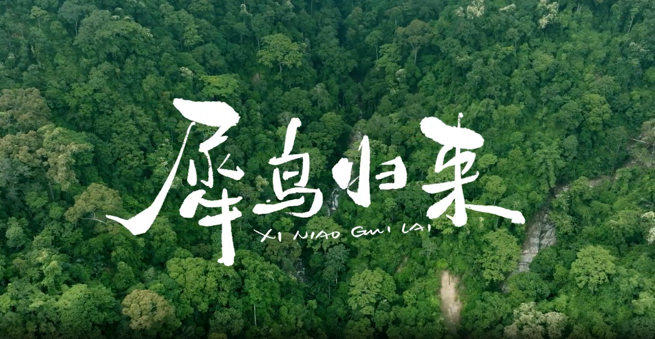 17c8b3e5199e89f75dc4ba0ce9f431ce.png 南宫28官网