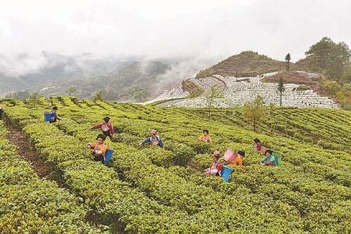 5b2cdbb368622e60126bdc1654f91e85.jpg 南宫28官网