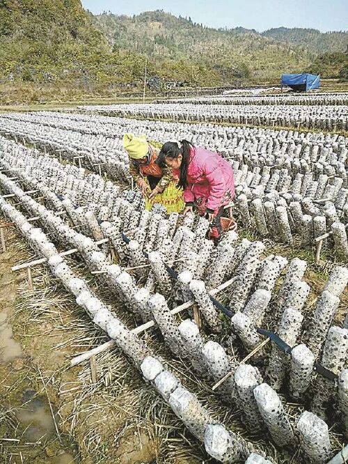 2b92317b9bee9c301d8650ed32dd8c0f.jpg 南宫28官网