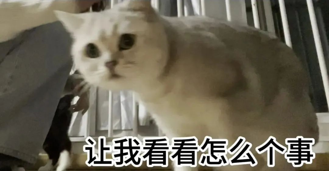 南宫28官网