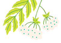 南宫28官网