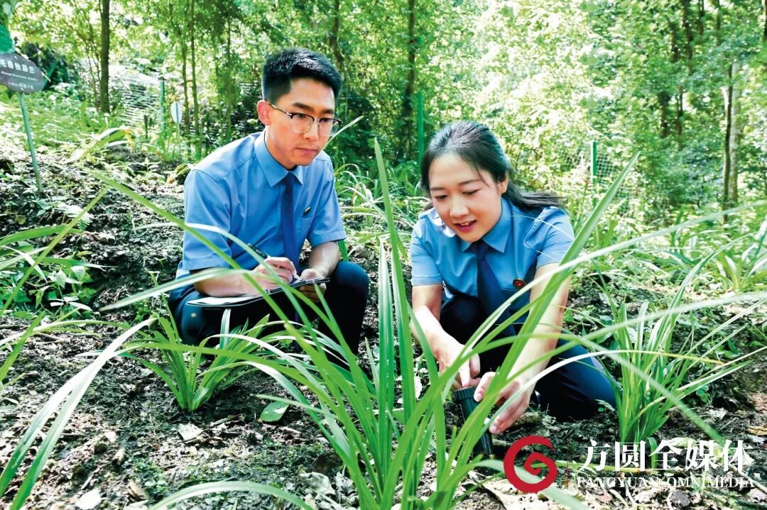 南宫28官网