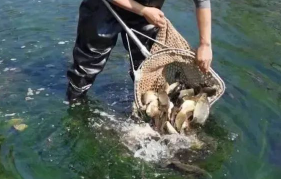 南宫28官网