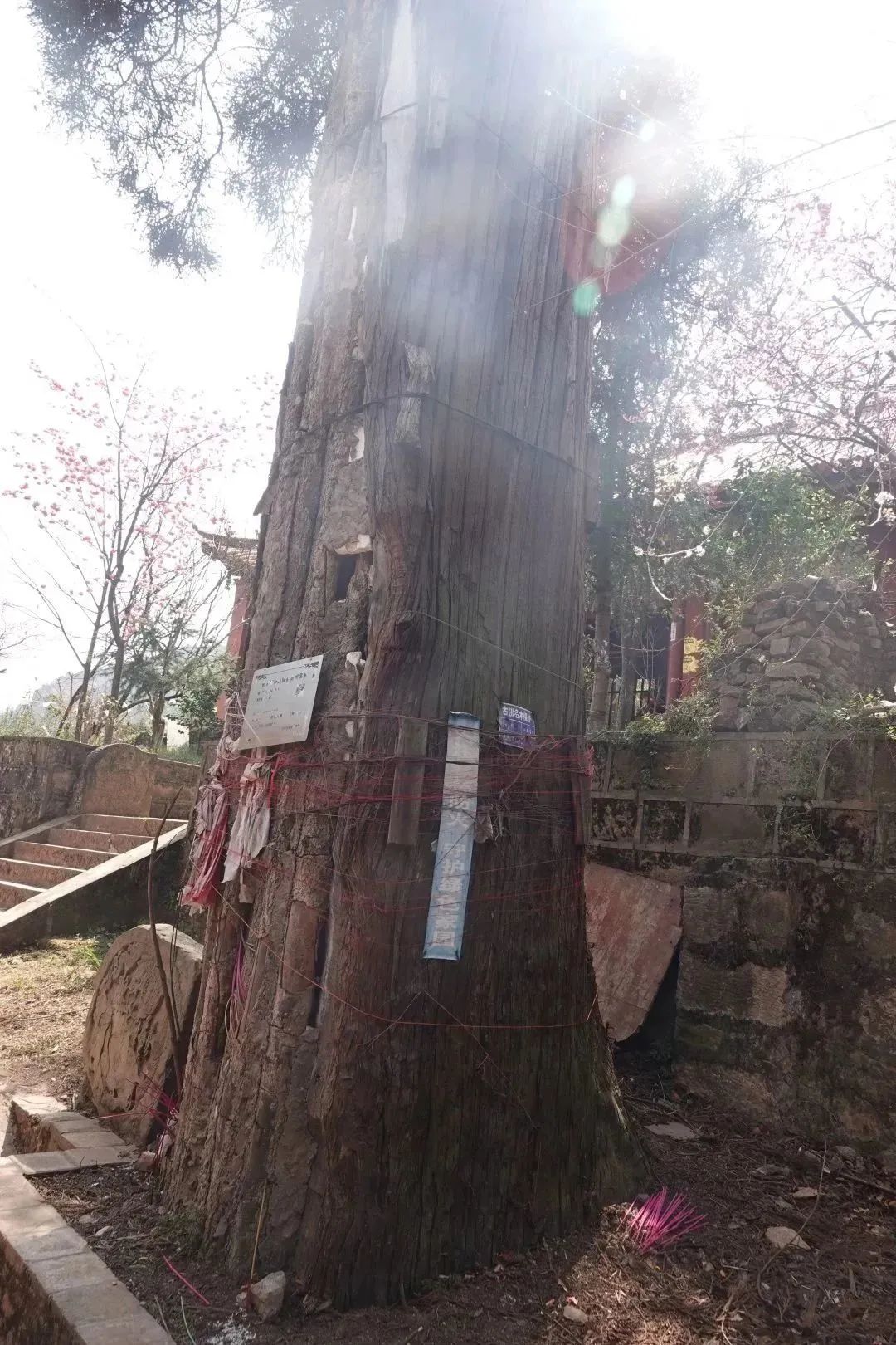 南宫28官网