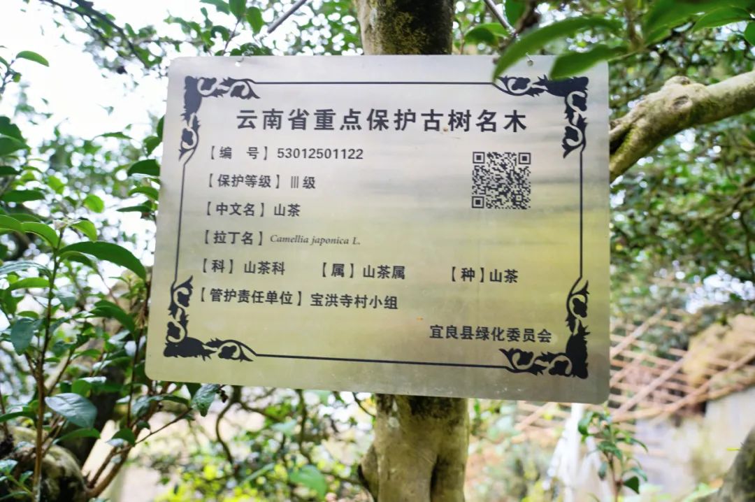 南宫28官网
