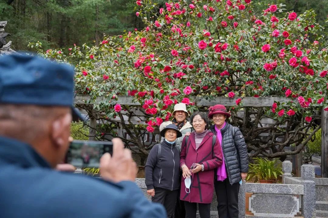 南宫28官网