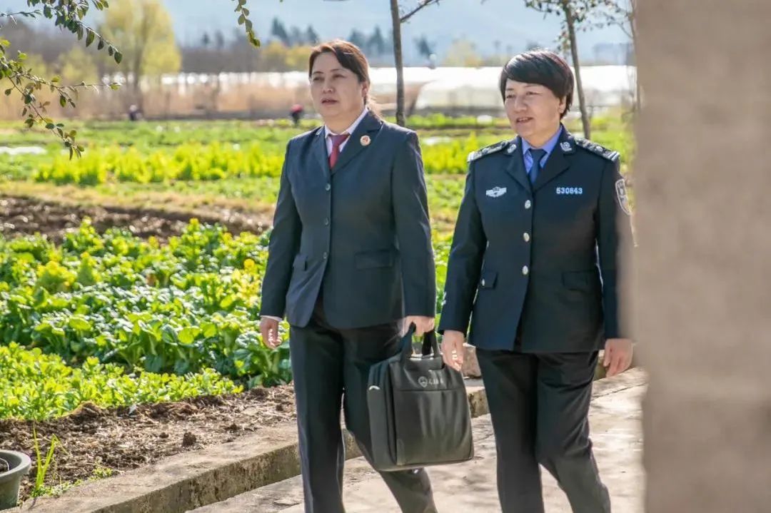 南宫28官网