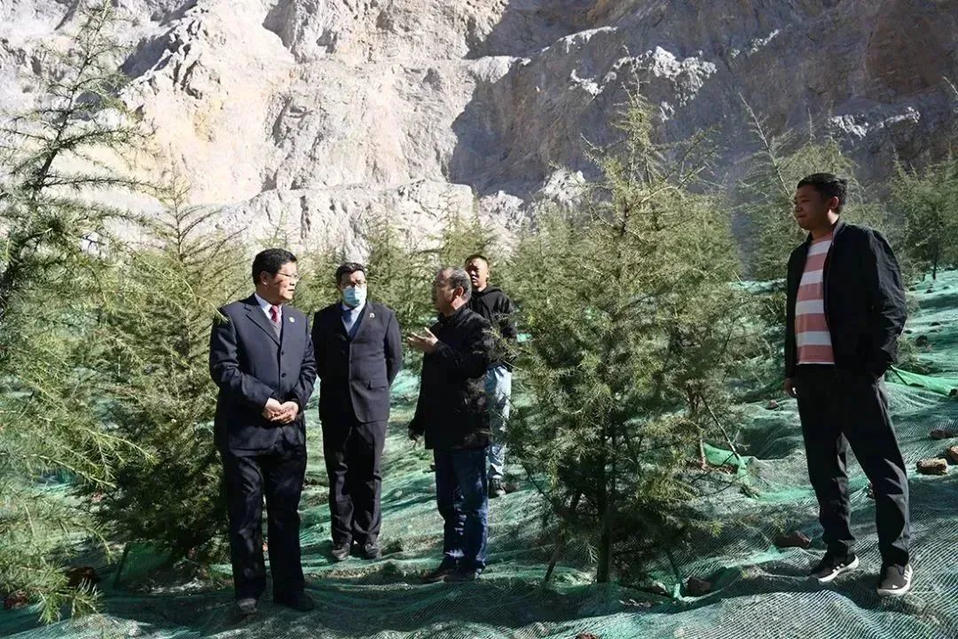 南宫28官网
