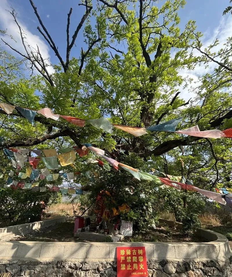南宫28官网