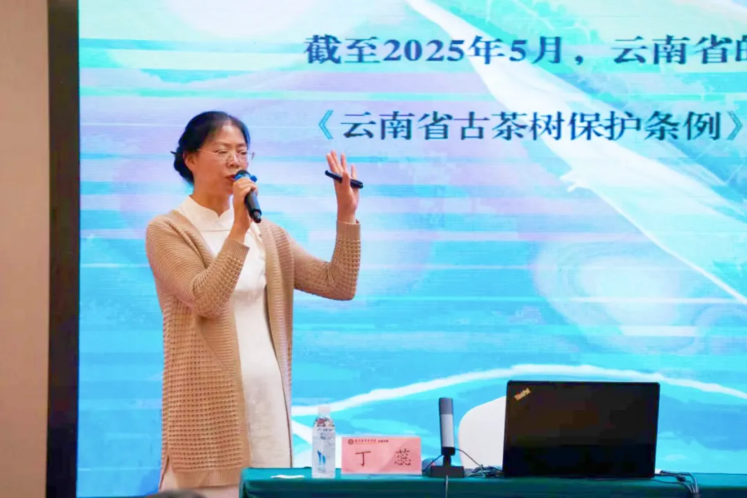 南宫28官网