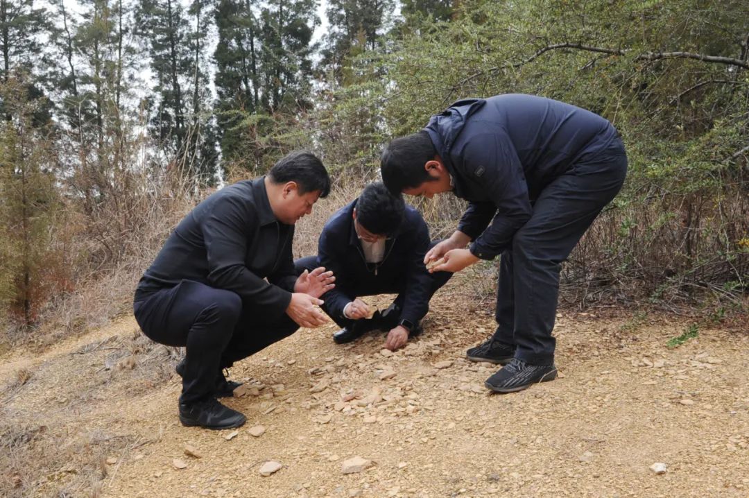 南宫28官网