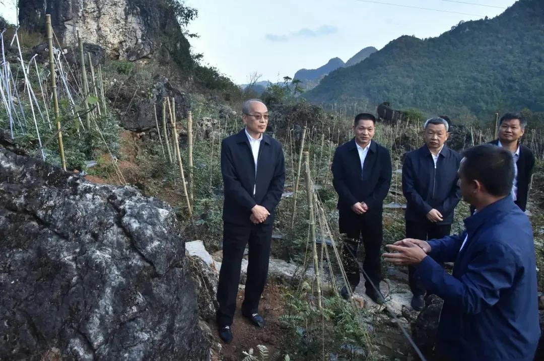 南宫28官网