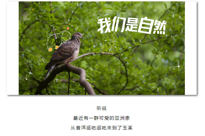 南宫28官网