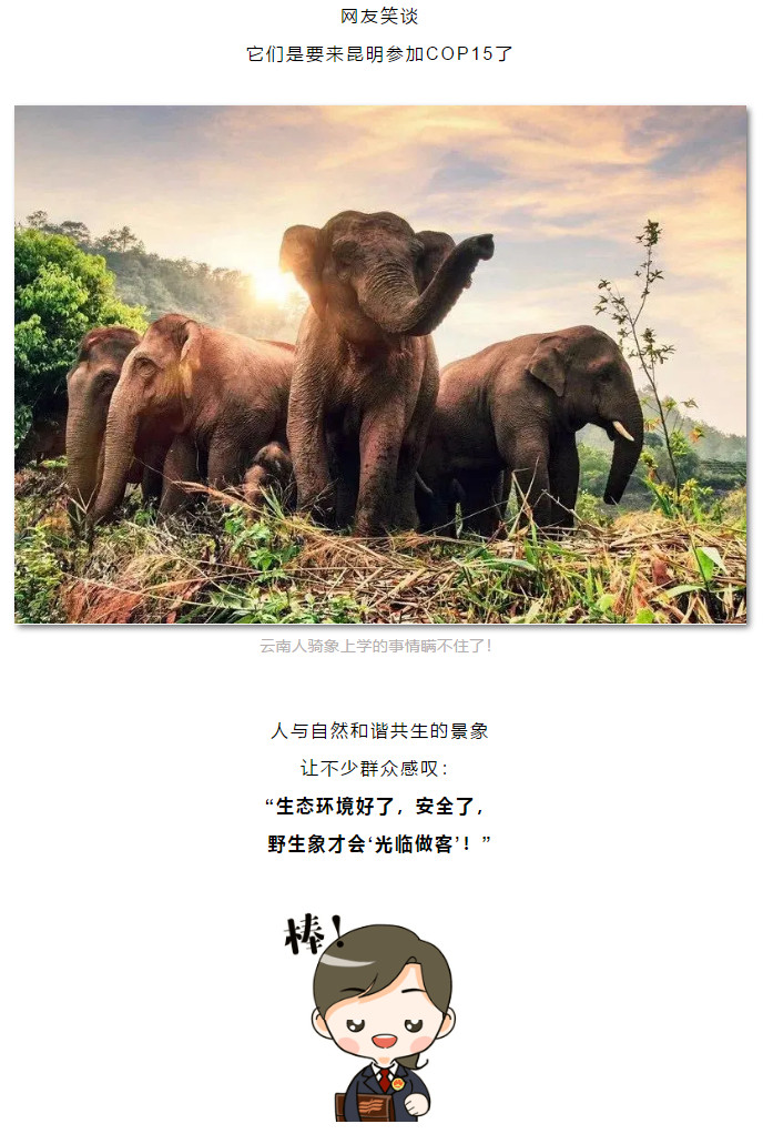 南宫28官网