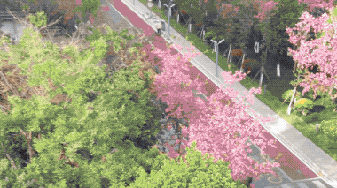 南宫28官网