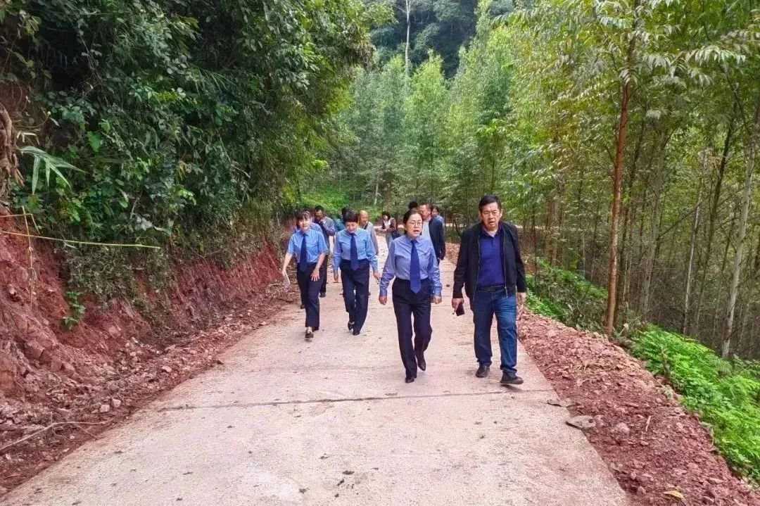南宫28官网
