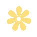 南宫28官网